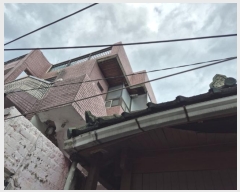  2024Ÿ116317 뱸 ϱ  226-8       ð