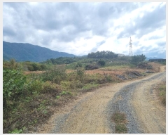  2024Ÿ124998  õ Ͼȸ 踮 501      (1)