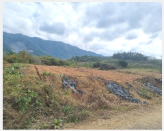  2024Ÿ124998  õ Ͼȸ 踮 501      (1)