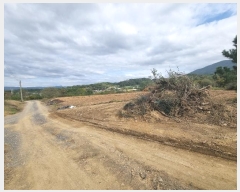  2024Ÿ124998  õ Ͼȸ 踮 501      (1)