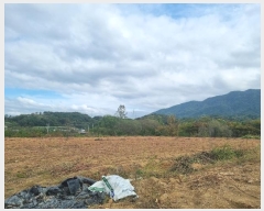  2024Ÿ124998  õ Ͼȸ 踮 501      (1)