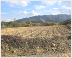  2024Ÿ124998  õ Ͼȸ 踮 501      (1)