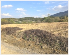  2024Ÿ124998  õ Ͼȸ 踮 501      (1)