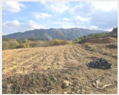  2024Ÿ124998  õ Ͼȸ 踮 501      (1)