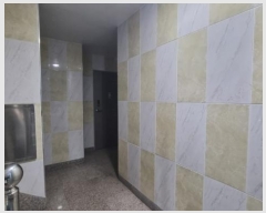  2024Ÿ127041    246-121       ٰð