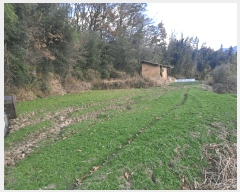  2024Ÿ127164  ĥ   553      (1)