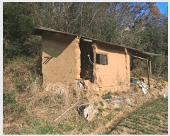  2024Ÿ127164  ĥ   553      (1)