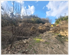  2024Ÿ127164  ĥ   553      (1)