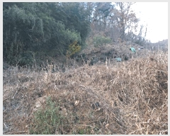  2024Ÿ127164  ĥ   553      (1)