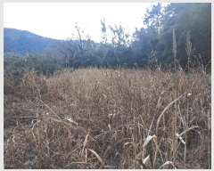  2024Ÿ127164  ĥ   553      (1)