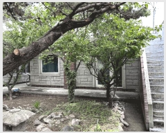  2024Ÿ��368  �ٸ����ð��