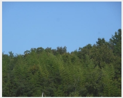  2024Ÿ8973    ƻ縮 101      (1)