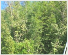  2024Ÿ8973    ƻ縮 101      (1)