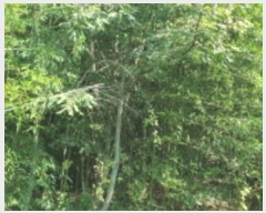  2024Ÿ8973    ƻ縮 101      (1)