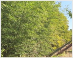  2024Ÿ8973    ƻ縮 101      (1)