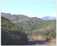  2024Ÿ��10235  �Ӿ߰��