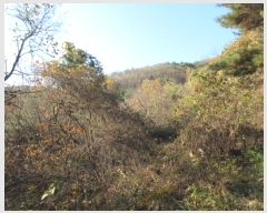  2024Ÿ��10235  �Ӿ߰��