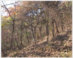  2024Ÿ��10235  �Ӿ߰��