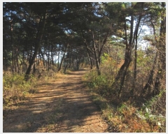  2024Ÿ��10235  �Ӿ߰��