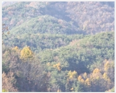  2024Ÿ��10235  �Ӿ߰��