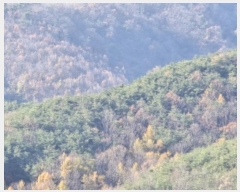  2024Ÿ��10235  �Ӿ߰��