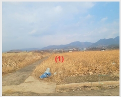  2024Ÿ11054 뱸   396       ()