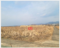  2024Ÿ11054 뱸   396       ()