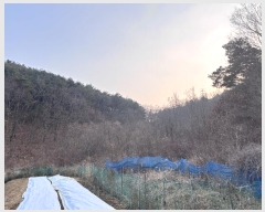  2024Ÿ��11344  ����