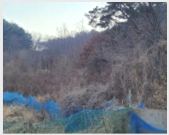  2024Ÿ��11344  ����