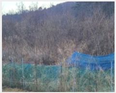  2024Ÿ��11344  ����