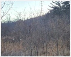  2024Ÿ��11344  ����