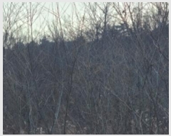  2024Ÿ��11344  ����