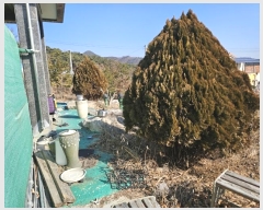  2024Ÿ11405  ĥ  򺹸 928-9      ð