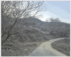  2024Ÿ��101957 ��� ĥ� ����� �ٺθ� 471      ����(��1)���