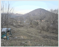  2024Ÿ��101957 ��� ĥ� ����� �ٺθ� 471      ����(��1)���