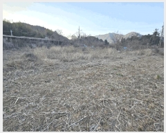  2024Ÿ��101957 ��� ĥ� ����� �ٺθ� 471      ����(��1)���