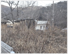  2024Ÿ��101957 ��� ĥ� ����� �ٺθ� 471      ����(��1)���