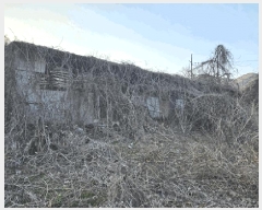  2024Ÿ��101957 ��� ĥ� ����� �ٺθ� 471      ����(��1)���