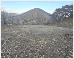  2024Ÿ��101957 ��� ĥ� ����� �ٺθ� 471      ����(��1)���