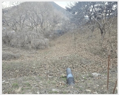  2024Ÿ��101957 ��� ĥ� ����� �ٺθ� 471      ����(��1)���