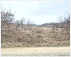  2024Ÿ103809  õ ȣ  297      ()