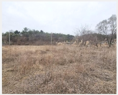  2024Ÿ103809  õ ȣ  297      ()