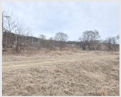  2024Ÿ103809  õ ȣ  297      ()