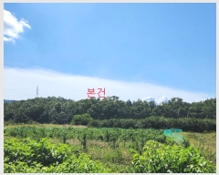  2024Ÿ120514  õ â  143      (Ӿ)