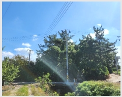  2024Ÿ120514  õ â  143      (Ӿ)