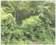  2024Ÿ120514  õ â  143      (Ӿ)