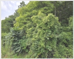  2024Ÿ120514  õ â  143      (Ӿ)