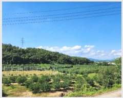  2024Ÿ120514  õ â  143      (Ӿ)