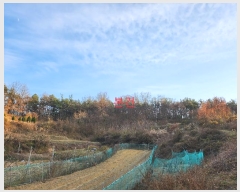  2024Ÿ��124011 ��� ��õ�� ��ȣ�� ���ϸ� ��93      ����(�Ӿ�)���