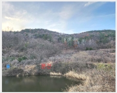  2024Ÿ��124011 ��� ��õ�� ��ȣ�� ���ϸ� ��93      ����(�Ӿ�)���